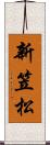 新笠松 Scroll
