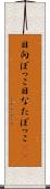 日向ぼっこ Scroll