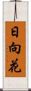 日向花 Scroll