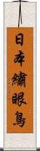 日本繡眼鳥 Scroll
