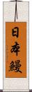 日本鰻 Scroll