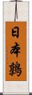 日本鶉 Scroll