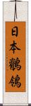 日本鶺鴒 Scroll