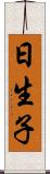 日生子 Scroll