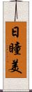 日瞳美 Scroll