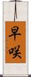 早咲 Scroll