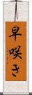 早咲き Scroll