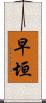 早垣 Scroll