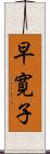 早寛子 Scroll