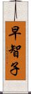 早智子 Scroll