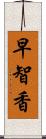 早智香 Scroll