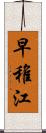 早稚江 Scroll