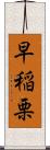 早稲栗 Scroll