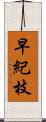 早紀枝 Scroll