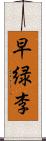 早緑李 Scroll