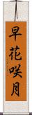 早花咲月 Scroll