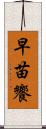 早苗饗 Scroll