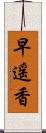 早遥香 Scroll