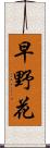 早野花 Scroll