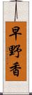 早野香 Scroll