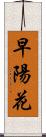 早陽花 Scroll