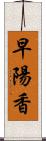 早陽香 Scroll