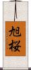 旭桜 Scroll