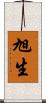 旭生 Scroll