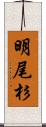 明尾杉 Scroll