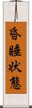 昏睡状態 Scroll