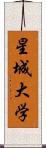 星城大学 Scroll