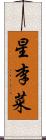 星李菜 Scroll