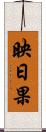 映日果 Scroll