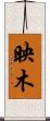 映木 Scroll