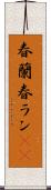 春蘭 Scroll