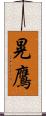 晃鷹 Scroll