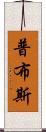 普布斯 Scroll