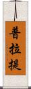 普拉提 Scroll