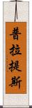 普拉提斯 Scroll