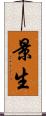 景生 Scroll