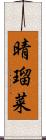晴瑠菜 Scroll