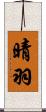 晴羽 Scroll