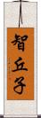 智丘子 Scroll