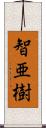 智亜樹 Scroll