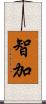 智加 Scroll
