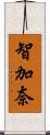 智加奈 Scroll