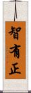 智有正 Scroll