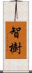 智樹 Scroll