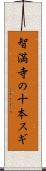 智満寺の十本スギ Scroll