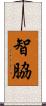 智脇 Scroll